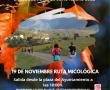 RUTA MICOLÓGICA 19 DE NOVIEMBRE A LAS 10H